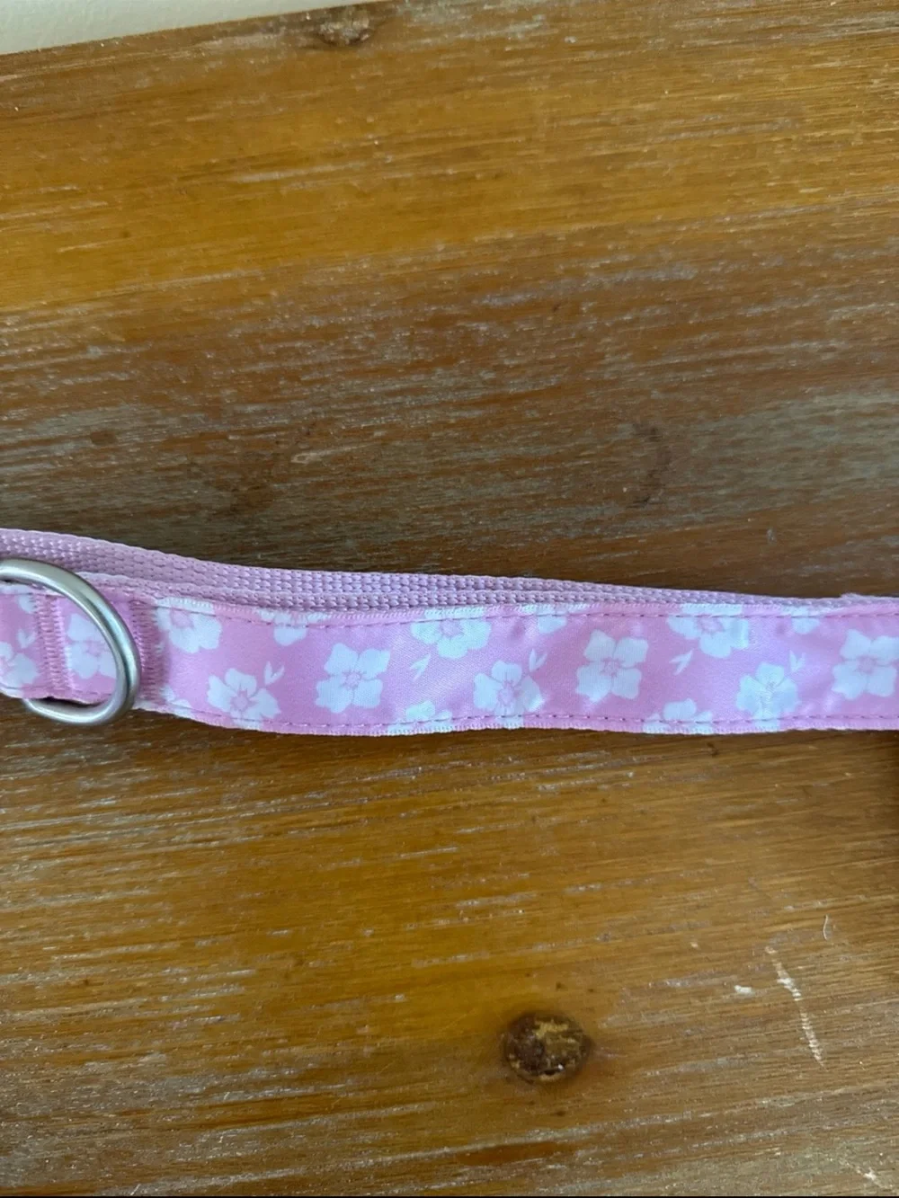 BN dog leash
